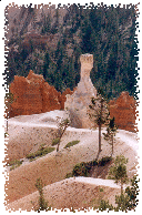 Hoodoos come in many colors, including white